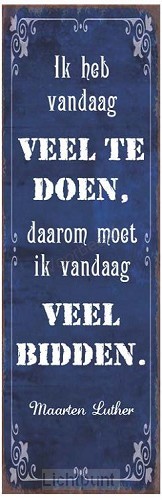 Ik heb vandaag veel te doen, daarom moet