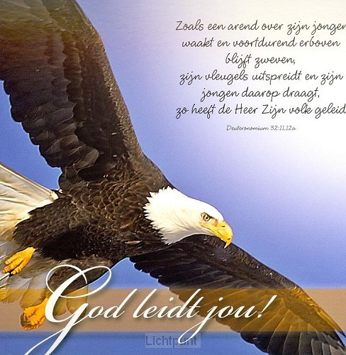 Prentbriefkaart God leidt jou