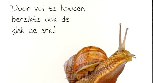 Minikaart door vol te houden