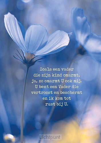 Poster zoals een Vader die zijn kind