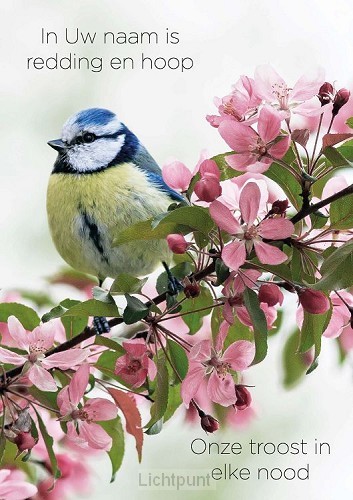 Poster in Uw naam is redding en hoop