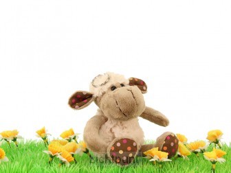 Lamb curly keyring 12cm