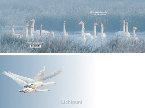 Panoramawenskaart mt zwanen