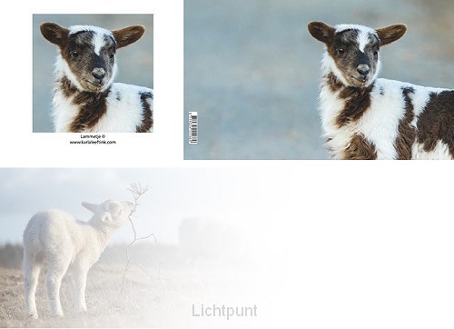 Panoramawenskaart lammetje