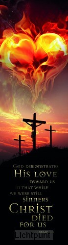 Boekenlegger His love