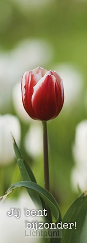 Boekenlegger jij bent bijzonder