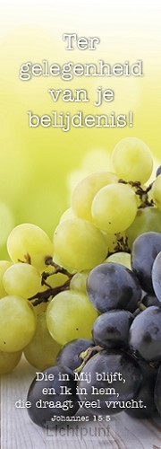 Boekenlegger tg van belijdenis Joh 15:5