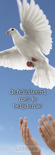 Boekenlegger gef belijdenis duif