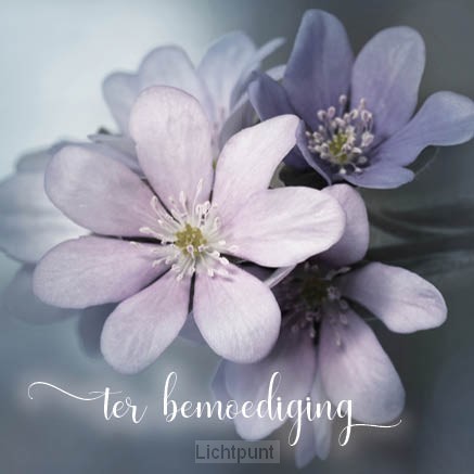 Kaart ter bemoediging