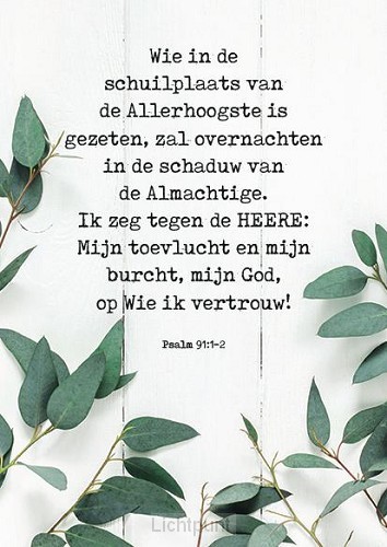 Kaart wie in de schuilplaats