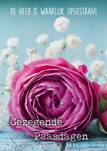 Paaskaart gezegende paasdagen bloem rose