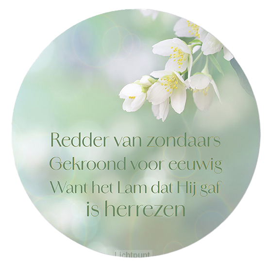 Paascirkel redder