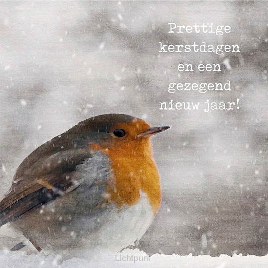 Minikerstkaart roodborstje