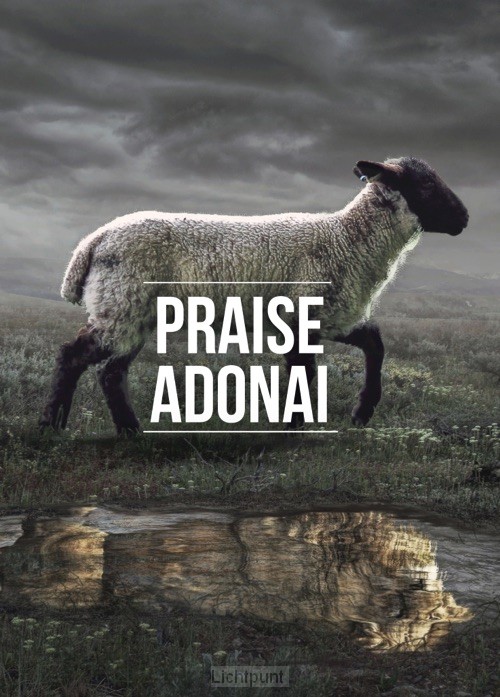 Poster 50x70 praise adonai