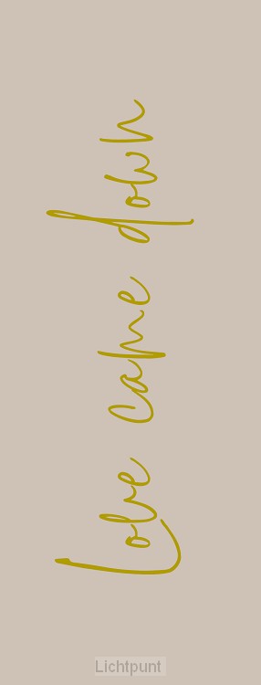 Boekenlegger love came down