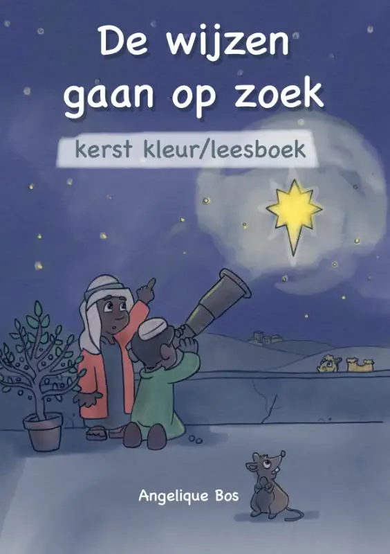 De Wijzen gaan op zoek (kerstkleurboek)