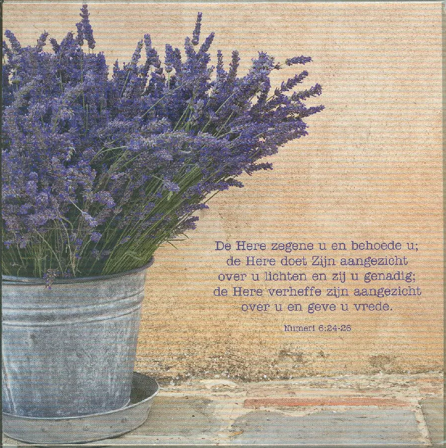 Kaart de Here zegene u