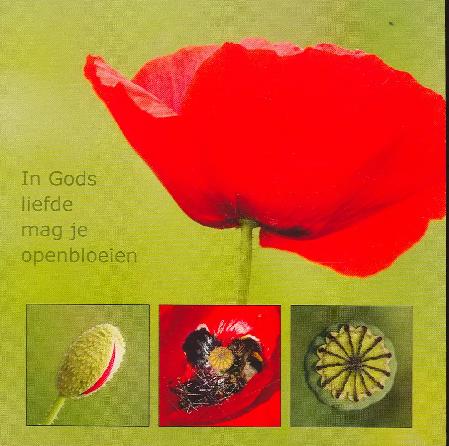 Wenskaart klaproos