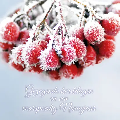 Kerstkaart gezegende kerstdagen tros bev