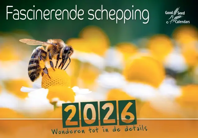 Kalender 2026 fascinerende schepping