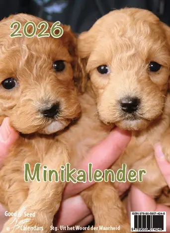 Minikalender 2022 met mooie afbeeldingen