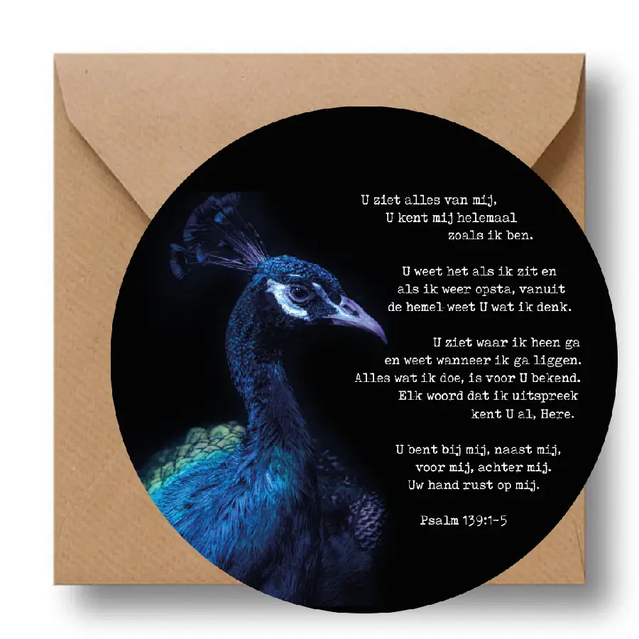 Cirkelcadeau U ziet alles