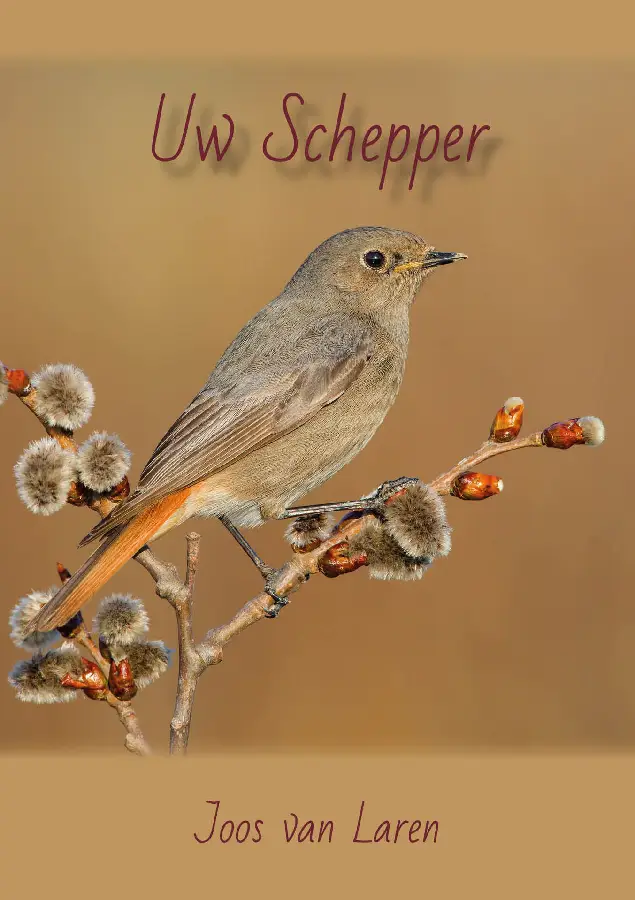 Uw schepper