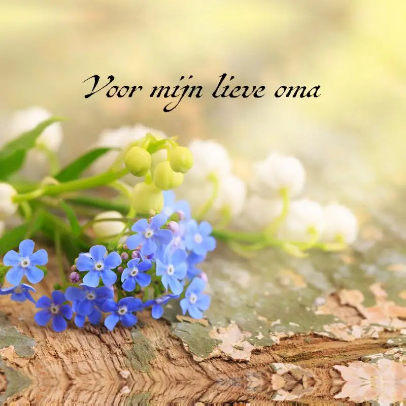 Voor mijn allerliefste oma + pen sijgje