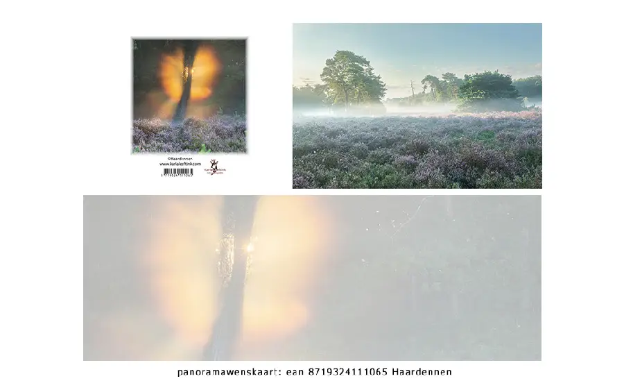 Panoramawenskaart zt haardennen