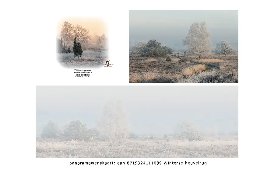 Panoramawenskaart zt winterse heuvelrug