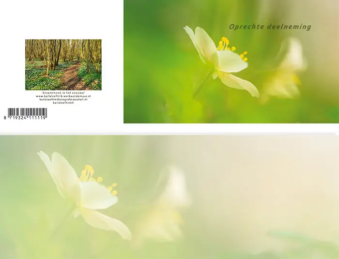 Panoramawenskaart zt rouw bosanemoon