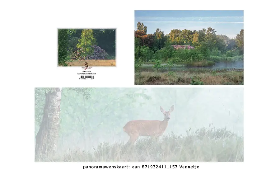 Panoramawenskaart zt vennetje