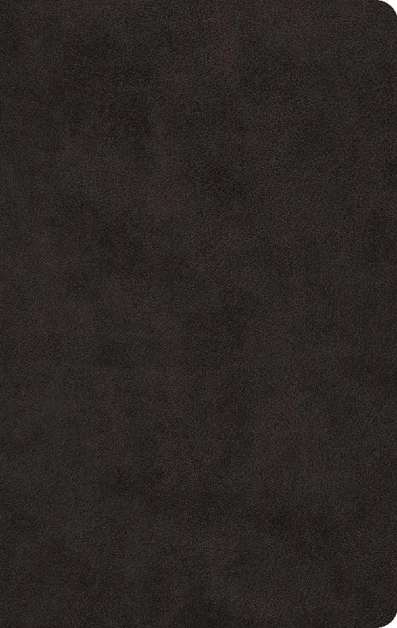 ESV - LP Value Thinline Bible