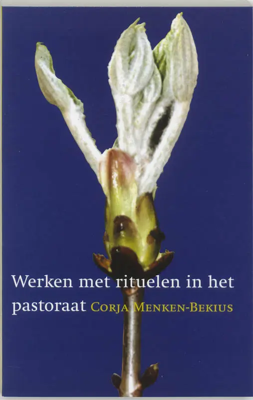 Werken met rituelen in het pastoraat POD