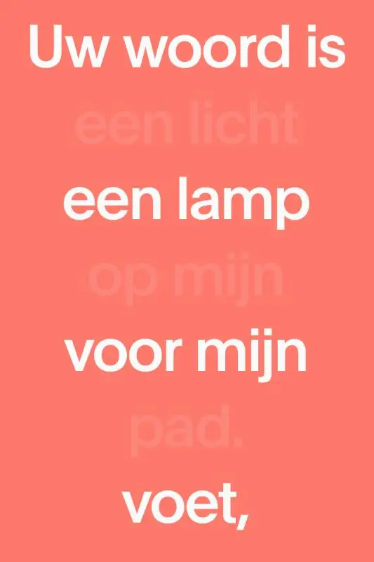 NBV21 paperback editie