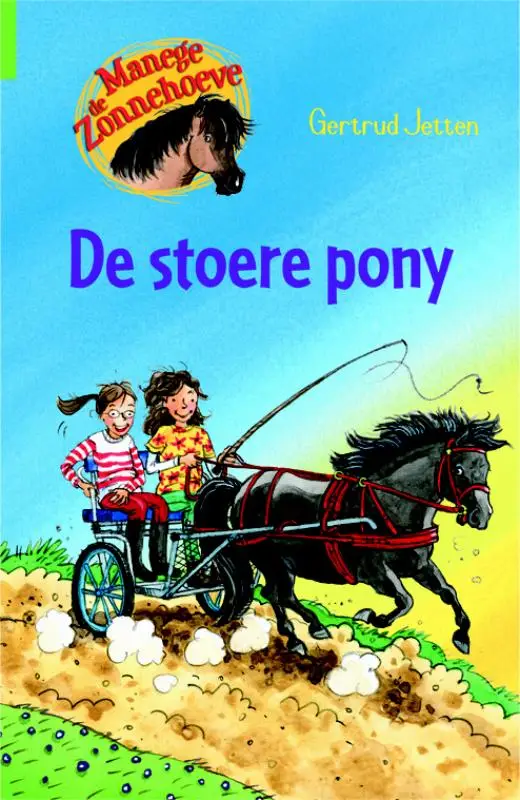 Stoere pony