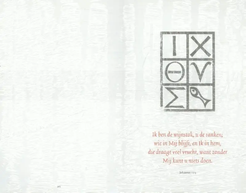 Belijdeniskaart 303 set 10