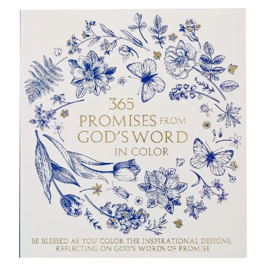 Color book 365 promises from God's word